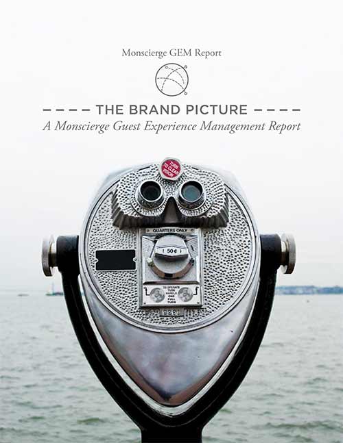 The Brand Picture GEM Report